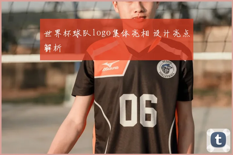 世界杯球队logo集体亮相 设计亮点解析