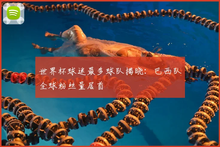 世界杯球迷最多球队揭晓：巴西队全球粉丝量居首