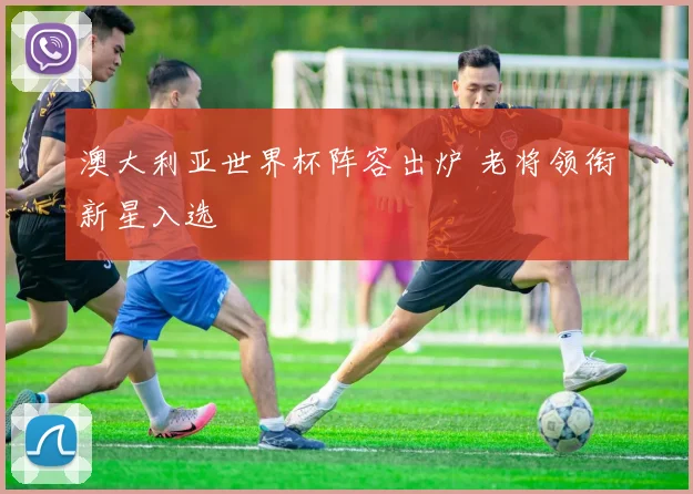 澳大利亚世界杯阵容出炉 老将领衔新星入选